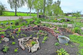 Wildbienengarten
