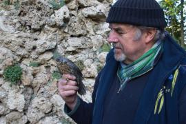 Gerhard Wendl sucht für die bevorstehende Vogelnotruf-Saison tatkräftige Unterstützung.