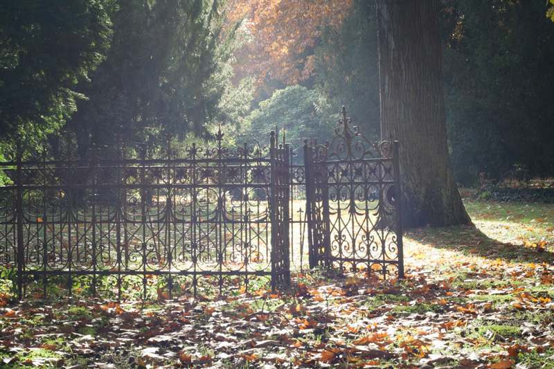 Schmiedeeisernes tor in einem Park