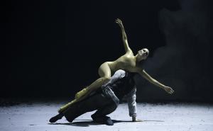 Mit herausragenden internationalen Tanzaufführungen hat sich dancefirst zum zweitgrößten Modern-Dance-Festival Bayerns entwickelt. 