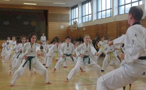 Einen weiteren Schritt auf dem Weg zum schwarzen Gürtel konnten die Mitglieder des Olchinger Taekwondo-Vereins Taeryon Ende Februar bei der halbjährlich stattfindenden Farbgürtelprüfung zurücklegen.