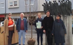Fürstenfeldbruck – Bei wärmender Frühlingssonne pflanzte der Arbeitskreis Gedenken im Historischen Verein Fürstenfeldbruck (HVF) in Kooperation mit der Stadt Fürstenfeldbruck vergangenen Freitag einen Korbiniansapfelbaum. 