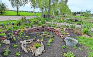 Wildbienengarten