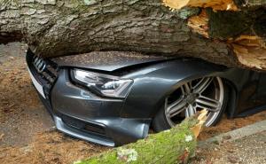 Ein umgestürzter Baumstamm liegt auf einem Auto mit beschädigter Motorhaube.