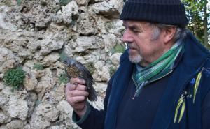 Gerhard Wendl sucht für die bevorstehende Vogelnotruf-Saison tatkräftige Unterstützung.
