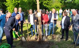 Baumpflanzungen Friedensweg