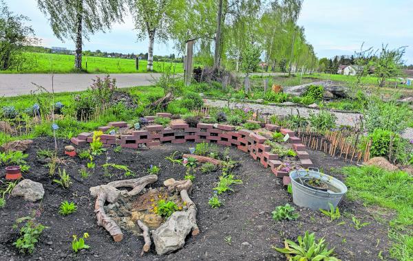 Wildbienengarten