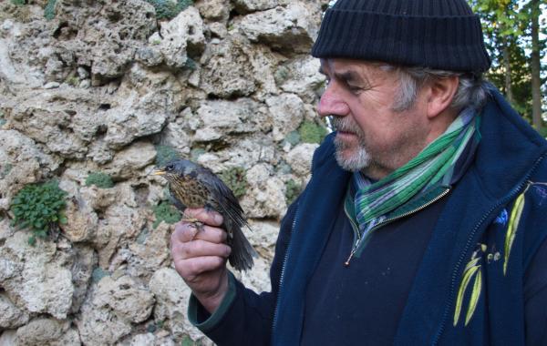 Gerhard Wendl sucht für die bevorstehende Vogelnotruf-Saison tatkräftige Unterstützung.
