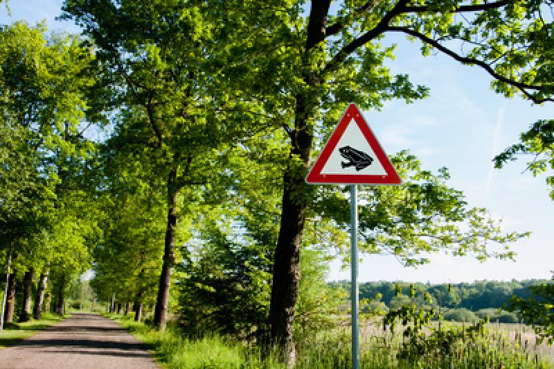 Puchheim - Wegen des anhaltend milden Wetters machen sich heuer Kröten und Frösche schon frühzeitig auf den Weg zu ihren Laichgewässern. Dabei werden sie insbesondere durch den Straßenverkehr gefährdet.