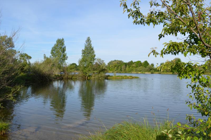 - Musste das Ramadama im vergangenen Jahr aufgrund der schlechten Wetterbedingungen immer wieder verschoben werden, klappte es dieses Jahr gleich auf das erste Mal. Fast 40 Bürgerinnen und Bürger aus Lochhausen, Puchheim und Gröbenzell, darunter Familien mit Kindern und Mitgliedern des Kreis-Fischerei-Vereins Starnberg, säuberten das Gelände rund um den Böhmerweiher von Abfällen, die sich über den Winter angesammelt hatten. 