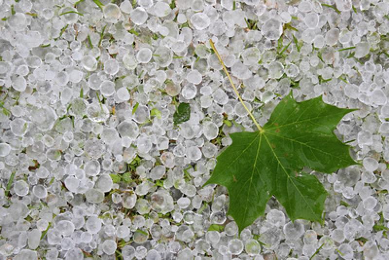 Die Schäden durch das gestrige Unwetter sind in Germering, vor allem an Gebäuden und PKWs, erheblich. Es sind auch einige öffentliche Gebäude betroffen und bleiben teilweise im Moment geschlossen. 