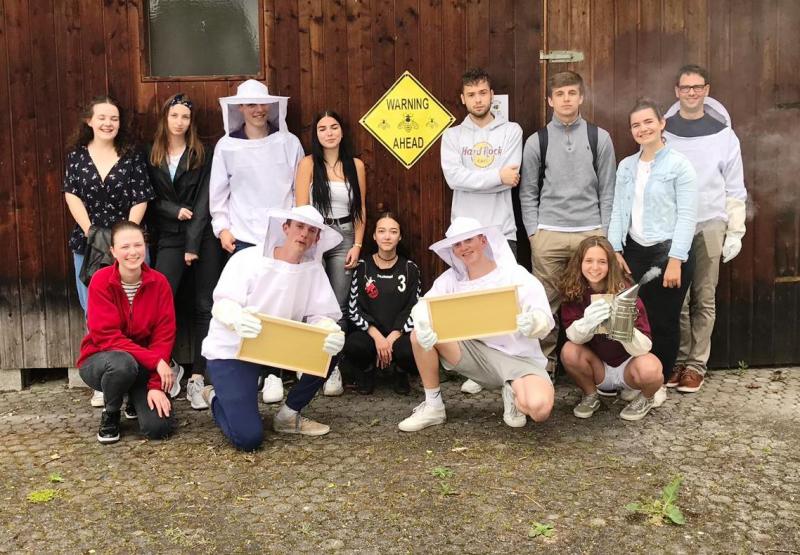 Gleich neben der 400-Meter-Bahn summt es und brummt es am Viscardi-Gymnasium. Anfang Juni sind zwei Ableger eines Bienenvolks eingetroffen, und rund um die Stöcke können die Schüler nun die fleißigen Tierchen bei der Arbeit beobachten. Honig wird es im ersten Jahr allerdings noch keinen geben.