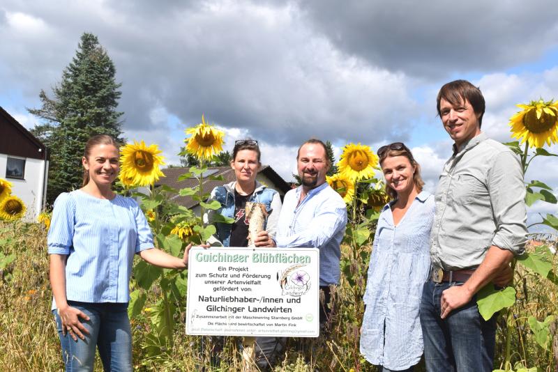 – Es blüht vielfach und innerhalb der Blühflächen summt und schwirrt es. Insekten, Schmetterlinge und kriechendes Getier geben sich ein fröhliches Stelldichein. In der Gemeinde Gilching zogen die Landwirte ein erstes Resümee. Zusätzlich haben sie Info-Tafeln angebracht. 