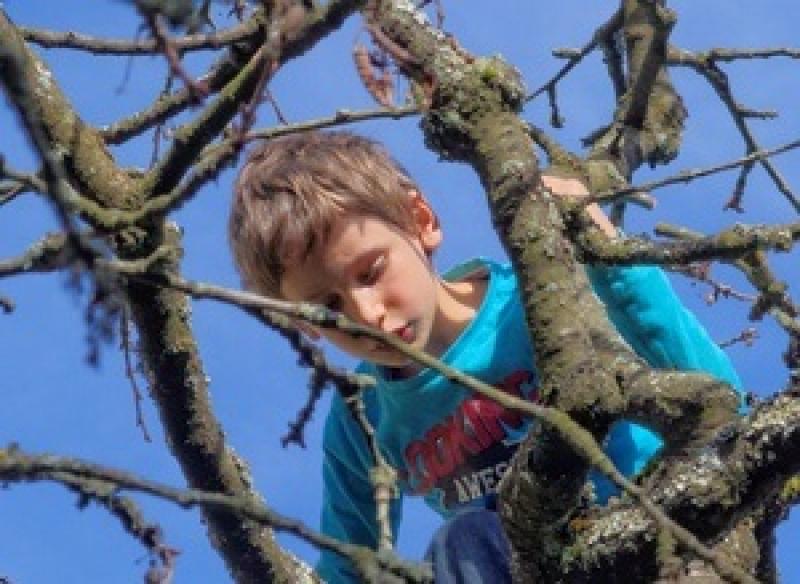 Diese Erkenntnis gewann am letzten Sonntag ein 8-jähriges Mädchen beim Klettern auf einen Baum. Das Mädchen kletterte am Spielplatz am Asambogen auf einen Baum, als die Äste immer dünner wurden, wollte sie wieder zurück, rutschte ab und verkeilte sich mit dem Knie in einer Astgabel.