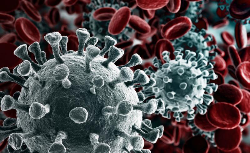 Aktuell macht sich Panik breit in vielen Teilen Bayerns. Grund für die Unruhe ist das Corona Virus, das in China erstmals auftrat und nun auch Deutschland getroffen hat. Bereit über 40 Menschen wurden in Bayern positiv getestet.
