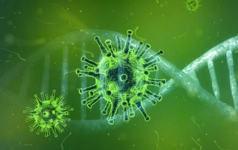 Coronavirus