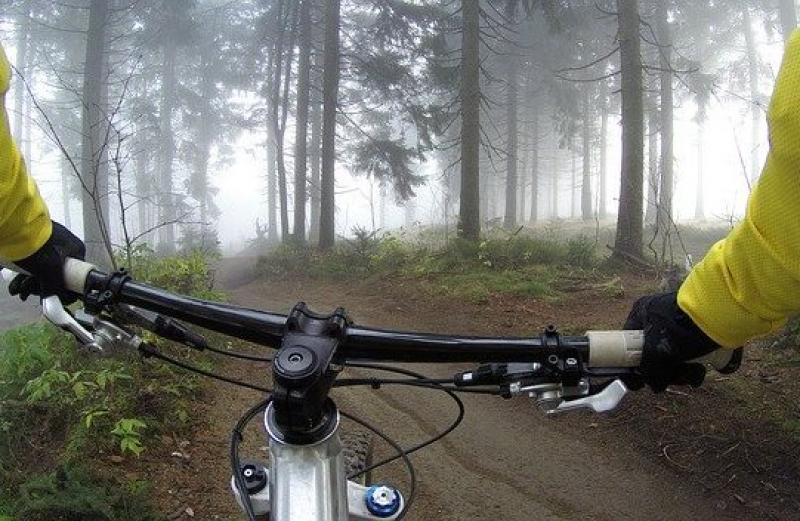 Gerade jetzt im Sommer treibt es viele Menschen an die frische Luft zum Wandern oder Radfahren. Doch immer wieder kommt es vor, dass gerade die Vegetation in Wäldern durch unachtsame Mountainbiker geschädigt wird. Landrat Stefan Frey appelliert daher eindringlich, ausschließlich ausgewiesene Wege zu befahren.