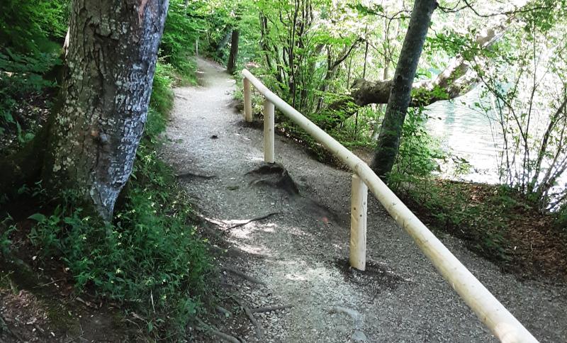 Der Weßlinger See ist ein wunderbares Naherholungsgebiet und ein beliebtes Ausflugsziel zum Spazienrengehen, Baden und Genießen der Natur. Damit der See auch weiterhin nutz- und erlebbar bleibt, wurden kürzlich Verschönerungsarbeiten von der Gemeinde vorgenommen.