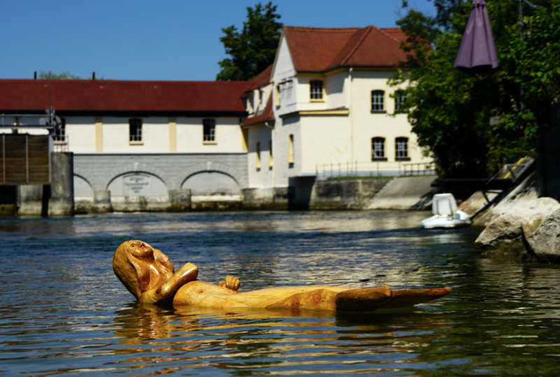 Die quirlige Wassernixe Melusine, die 2019 mehrere Monate in der Amper schwamm, kommt jetzt für eine Woche zurück nach Schöngeising, allerdings nur im Trockendock. 