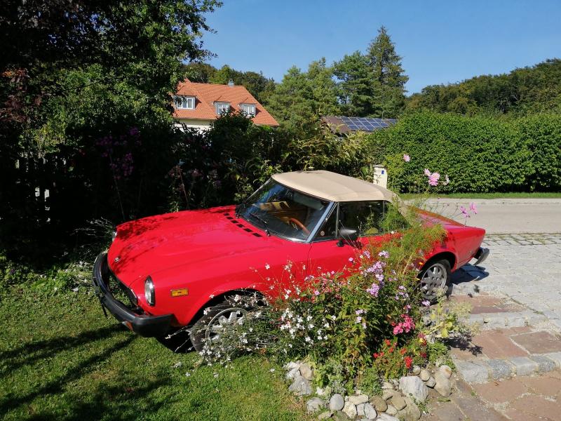 Der Besitzer eine Gartens staunte nicht schlecht, als er am 14.09.2020 mittags vor seines Haustüre trat. Ein roter Fiat, Baujahr 1980, stand bei ihm im Vorgarten im Blumenbeet. Der Pkw wurde durch den Halter am Tag zuvor aufgrund einer Panne am Straßenrand abgestellt. Die Handbremse war nicht angezogen und vermutlich der Gang nicht richtig eingelegt. 