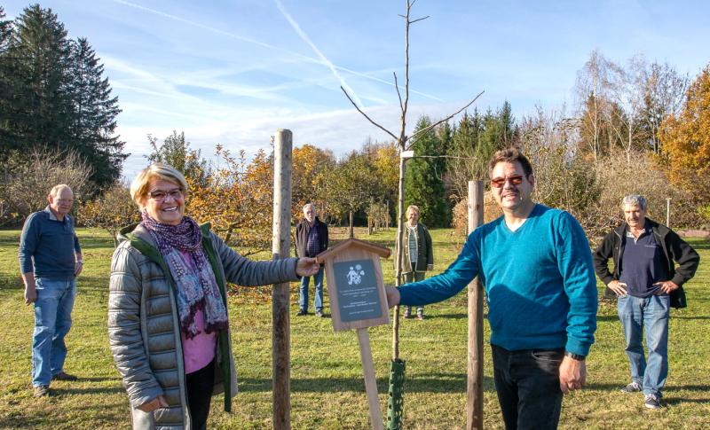 Ein richtig runder Geburtstag war es nicht, dennoch wollten die Mitglieder des Kreisverbandes für Gartenbau und Landespflege Starnberg explizit in Zeiten von Corona auf die Bedeutung des Verbandes aufmerksam machen. Anlässlich des 115sten Geburtstages wurde im Gilchinger Lehrgarten ein Apfelbaum gepflanzt. 