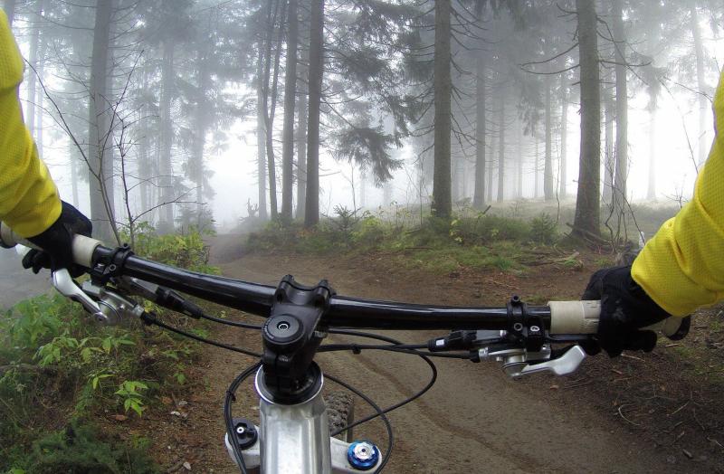 - Im Wald zwischen Biburg und Schöngeising haben Unbekannte mehrere Trampelpfade mit Nägeln präpariert.