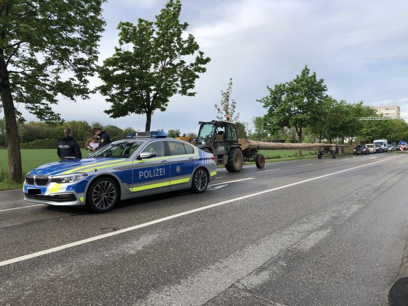 Am vergangenen Samstag, den 15.05.2021 setzte sich in aller Früh von der Holzhausenerstraße in Fürstenfeldbruck ein gut 40 Meter langes Gespann mit dem zukünftigen Maibaum des Burschenvereins Obermenzing in Richtung München.