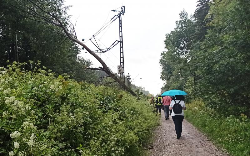 Am Dienstagabend kam es im Landkreis Fürstenfeldbruck zu rund 80 unwetterbedingten Einsätzen für die Feuerwehren. Betroffen waren verschiedene Städte und Gemeinden verteilt über den ganzen Landkreis. Die Unwetterfront führte zu überfluteten Straßen, umgestürzten Bäumen, einem Blitzeinschlag und Kellern die unter Wasser standen.