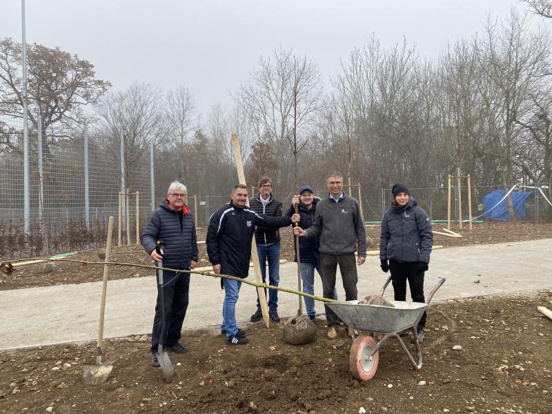 Für das frisch angelegte Sportareal gegenüber dem Verwaltungsgebäude der Stadtwerke spendeten diese einen Teil der Begrünung – 14 große Elsbeeren wurden nun von den Verantwortlichen gepflanzt. 