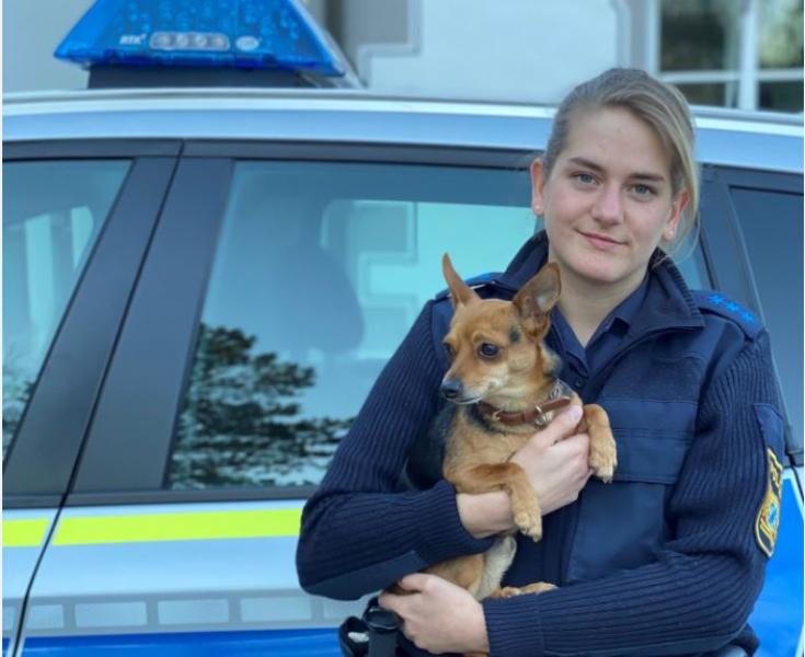 Der am 7. November in einer S6 von Starnberg Richtung München gefundene, herrenlose Hund, den ein 59-Jahre alter Unterbrunner an diesem Tag bei der Gautinger Polizei abgegeben hatte, hat wieder ein neues Zuhause gefunden.