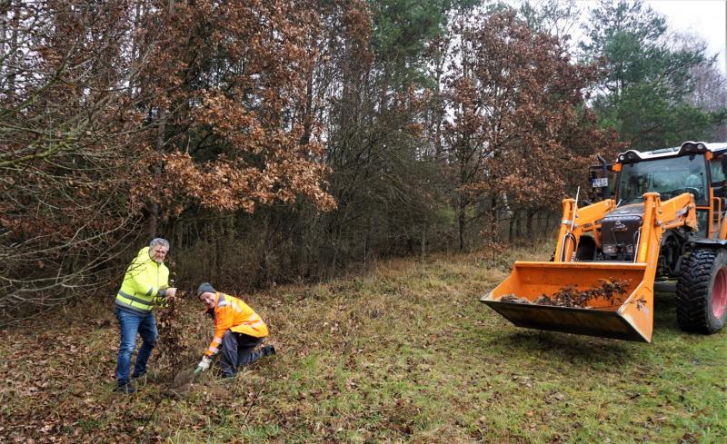 Einen kleinen „jungen Wald“ findet man seit Kurzem auf einer Gemeindefläche nahe der Staatstraße. Der Allinger Bauhof hat dort Roteichen, Elsbeeren, Bergahorn und Wildbirnen aufgeforstet, und der Bürgermeister hat vor Ort mit zugepackt. Zuvor hat man sich Rat bei der Revierförsterin geholt: Welche Baumarten überstehen den Klimawandel gut und eignen sich für den Standort?