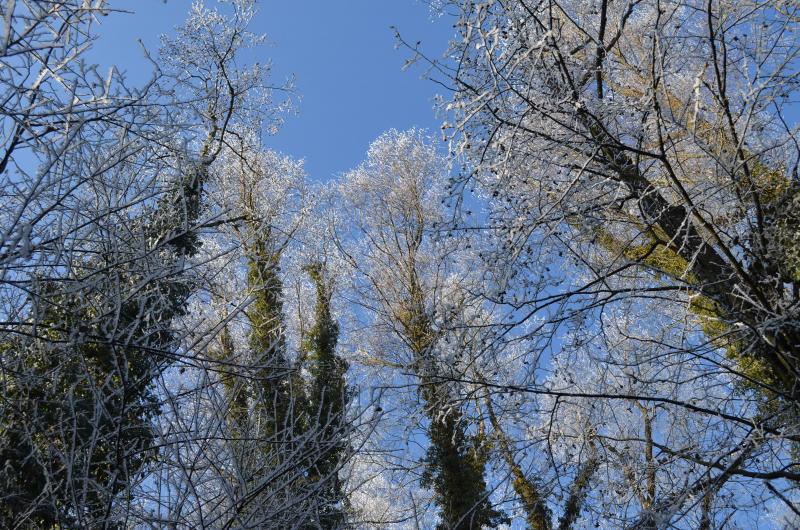 In einem Waldstück bei Pflaumdorf (Gemeinde Eresing) ereignete sich am 8. Januar ein Unfall, bei dem ein Mann ums Leben kam. Die Kriminalpolizei Fürstenfeldbruck nahm zur Klärung des Unfallhergangs die Ermittlungen auf.