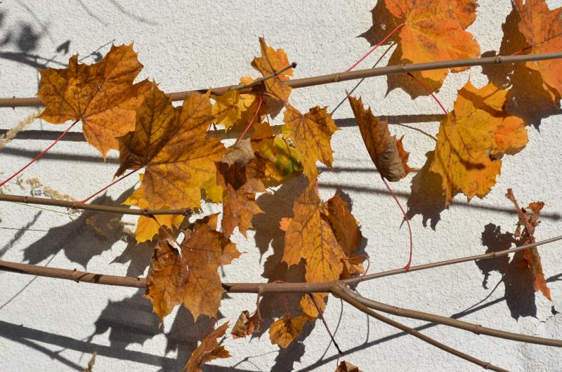 Der Abfallwirtschaftsbetrieb (AWB) teilt mit, dass ab Aschermittwoch, 2. März alle Gartenabfallsammelstellen im Landkreis Fürstenfeldbruck wieder geöffnet haben.