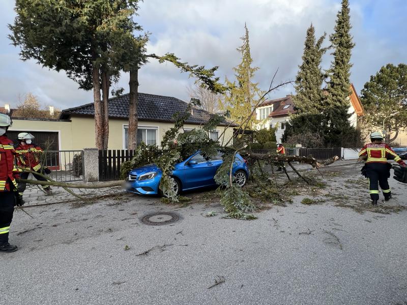 Eine 52-jährige Germeringerin befand sich in der Maistraße in Germering, als sie einen Mann, der unter einem abgebrochenen Baum lag, bewusstlos vorfand. Sie wählte daraufhin unvermittelt den Polizeinotruf und setzte so die Rettungskette in Gang. Nach derzeitigen Erkenntnissen war der 36-jährige Germeringer zu Fuß auf dem Weg zu seinem in der Maistraße geparkten Pkw.