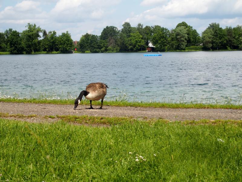 Am Olchinger See fand am 11. März eine Feier von mehreren Jugendlichen statt. Bereits gegen 19.45 Uhr wurden diese wegen einer Ruhestörung zur Ruhe ermahnt.