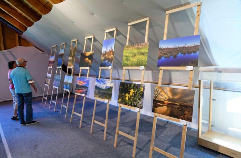 Haspelmoor und Rotes Moos präsentieren sich bereits dem bloßen Auge als Naturjuwel. 70 Aufnahmen des bekannten Mammendorfer Naturfotografen Robert Hoiß zeigen diese Landschaft, ihre Pflanzen und Tiere in einem erweiterten, einem künstlerischen Licht.