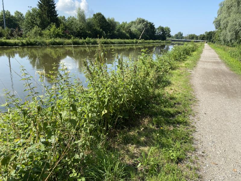 Am Dienstag, den 19. Juli 2022, werden Sträucher, Gras und Büsche entlang der Amper eingekürzt. Ziel ist dabei, die Zufahrtswege und Wanderpfade an der Amper freizuhalten und die Dämme zu kontrollieren. 