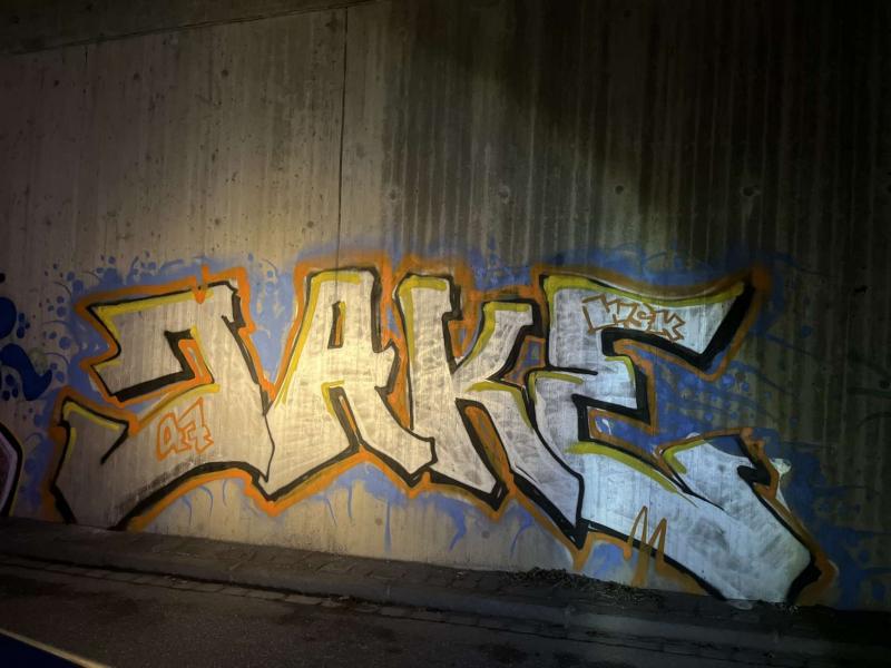 Noch am Tatort, einer Unterführung der A 96 auf Höhe der Kronefarm, konnte in der Nacht zum Montag eine Graffiti-Sprayerin festgenommen werden.