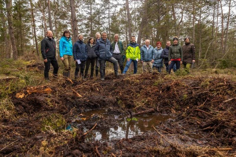 Vor einem Jahr wurde mit der Renaturierung des Gilchinger Wildmooses begonnen, nun steht die Maßnahme vor ihrem Abschluss. Bis Ende Februar werden in bestehende Seitengräben des Gilchinger Wildmooses über 80 Torfdämme eingebaut. Damit wurden dann insgesamt rund 110 Dämme aus Nadelholz verbaut. Das Gilchinger Wildmoos zeichnet sich durch eine einzigartige Vegetation aus. 