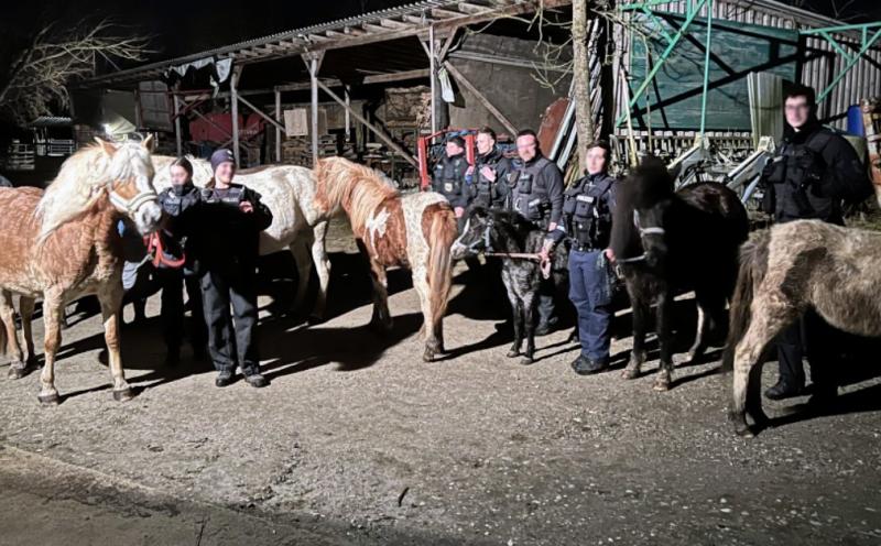 Am späten Mittwochabend (8. März) waren Beamtinnen und Beamte der Bundespolizeiinspektion München im Bereich Mammendorf im Einsatz, da neun Pferde von einer Pferdekoppel, welche sich in der Nähe der Bahnschienen befindet, entlaufen waren. Ein eingesetzter Polizeihubschrauber konnte die Pferde lokalisieren.