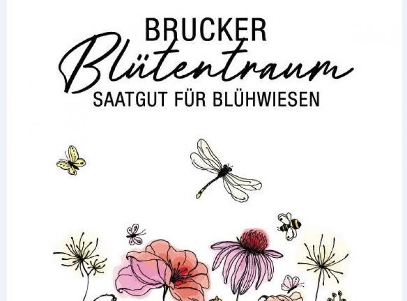 Die Stadtverwaltung Fürstenfeldbruck greift die Anregungen und Wünsche nach einem  grüneren Bruck auf und verteilt Saatgutmischungen an die Bürgerinnen und Bürger. 