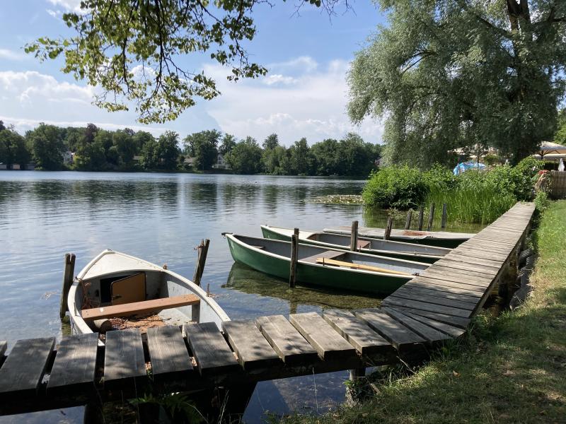 In diesem Jahr befinden sich an einigen Stellen im Weßlinger See besonders viele Wasserpflanzen. Dadurch kommt es immer wieder zu störenden oder gar brenzligen Situationen beim Schwimmen. Auch wenn das Vorkommen von Wasserpflanzen in einem Naturgewässer vollkommen normal ist, hat die Gemeinde jetzt auch für dieses Jahr wieder das Mähen im See beauftragt.