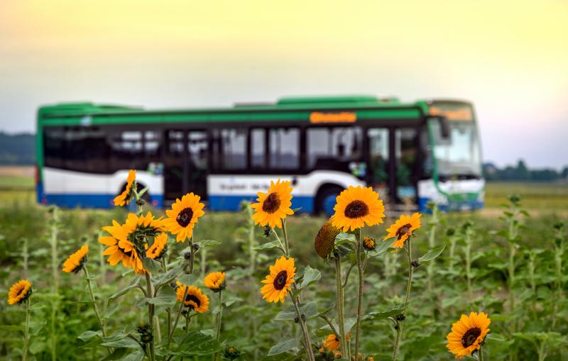 Der Landkreis Fürstenfeldbruck lädt am Autofreien Sonntag, 10. September 2023, alle Mitbürgerinnen und Mitbürger ein, MVV-RegionalBus-Linien kostenfrei zu nutzen. Das Angebot gilt für alle Linien die sonntags im Landkreis Fürstenfeldbruck unterwegs sind: X800, X850, X900, 157, 260, 815, 830, 831, 840, 843, 854, 858, 859, 860, 862, 873 von Betriebsbeginn bis Betriebsende, jeweils für die Strecken innerhalb des Kreisgebietes.