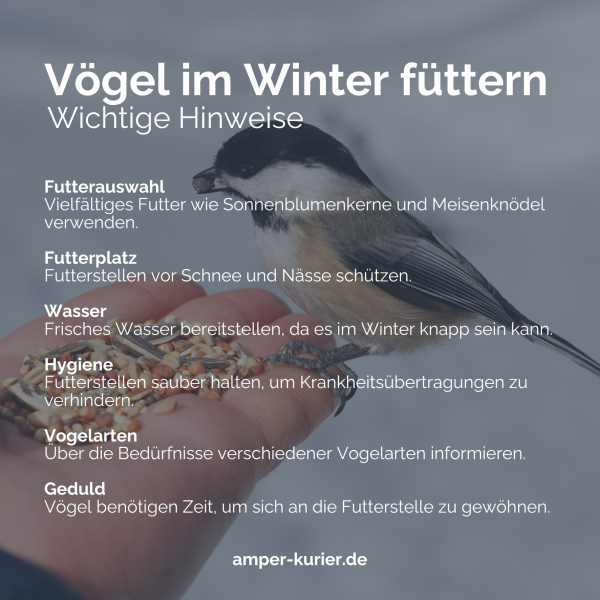 Die Terrasse ist für viele Menschen der Lieblingsplatz im Sommer und wird fast schon als zusätzliches Zimmer genutzt. Doch auch im Winter tut es gut, an der frischen Luft zu sein und die Terrasse nicht brachliegen zu lassen. Dieser Artikel zeigt verschiedene Möglichkeiten auf, wie die Terrasse auch im Winter gemütlich und einladend bleibt. Es soll unter anderem um die Erwärmung des Außenbereichs, Sitzgelegenheiten, Dekoration, winterharte Pflanzen und Tipps für das Füttern von Vögeln im Winter gehen.