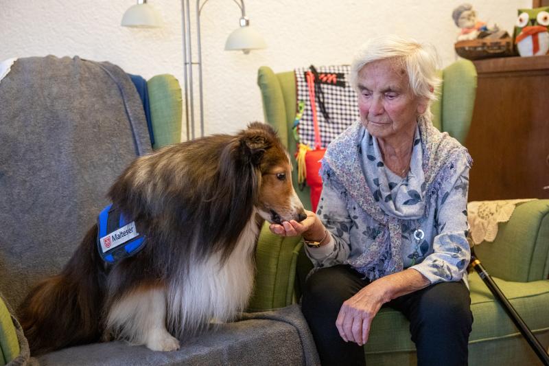 Besuchshunde können den Alltag sehr bereichern. Oft entsteht eine eigene Beziehung zueinander – denn Menschen und Hunde sind sich sehr ähnlich: Sie verstehen und vertrauen einander und gehen besonders aufmerksam und feinfühlig miteinander um