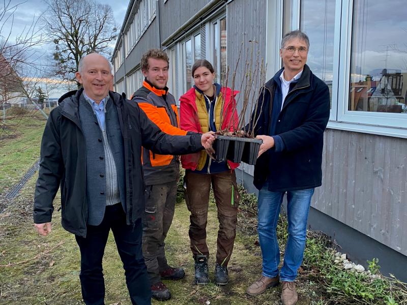 Die ‚Initiative Zukunftswald‘ erhält weitere Setzlinge für die Aufforstung. In der vergangenen Woche übergaben Vertreter des lokalen Stromversorgers offiziell rund 1.000 Elsbeeren- und 400 Weißtannen-Setzlinge an das Amt für Ernährung, Landwirtschaft und Forsten Fürstenfeldbruck (AELF).