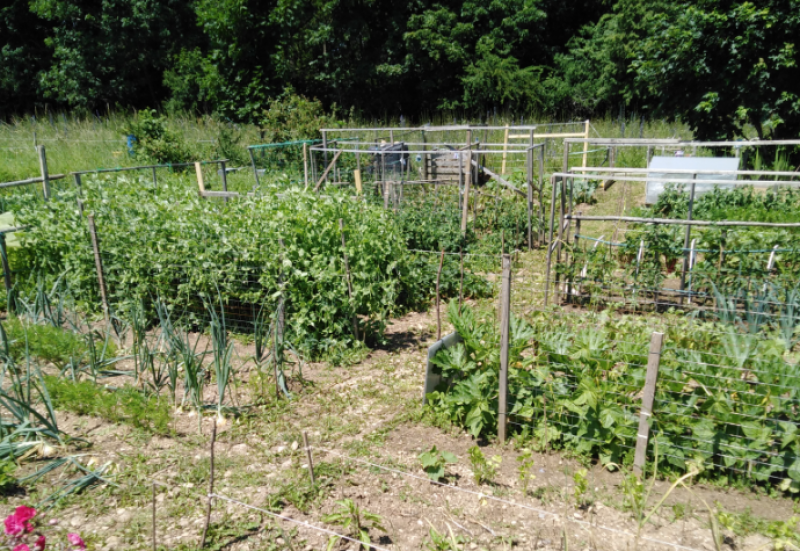 Manche Menschen würden gerne säen, pflanzen und ernten, besitzen aber keinen eigenen Garten. Sie können auf dem Fürstenacker mitmachen! Gegenüber dem Hagebaumarkt stellt die Stadt Fürstenfeldbruck eine 4.000 Quadratmeter große Fläche zur kostenlosen gemeinsamen Bewirtschaftung zur Verfügung.