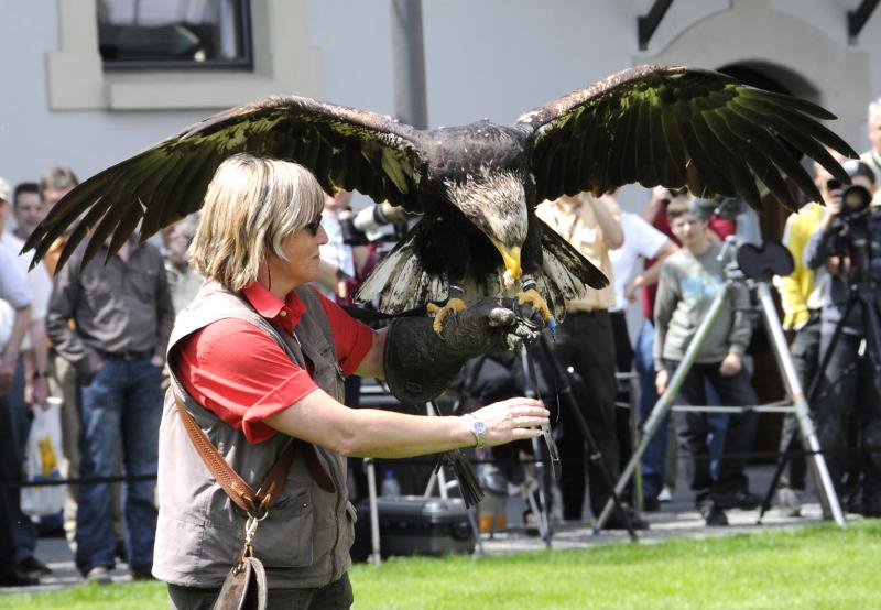 Die 26. Internationalen Naturfototage Fürstenfeld finden wieder in passend pittoreskem Ambiente statt: am Wochenende der Kalenderwoche 16: von 19. bis 21. April im und rund ums Veranstaltungsforum.