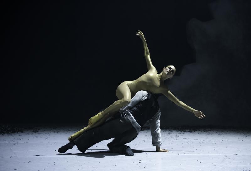 Mit herausragenden internationalen Tanzaufführungen hat sich dancefirst zum zweitgrößten Modern-Dance-Festival Bayerns entwickelt. 