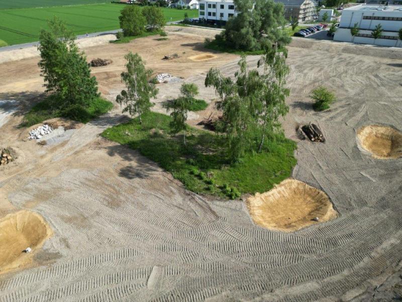 Im Rahmen von Baumaßnahmen im Freistaat Bayern wird der Naturverlust an einer Stelle durch Ausgleichsflächen an anderer Stelle kompensiert. So auch im Gewerbepark Ost in Gilching.